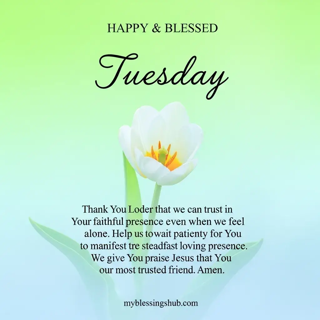 good morning blessed tuesday