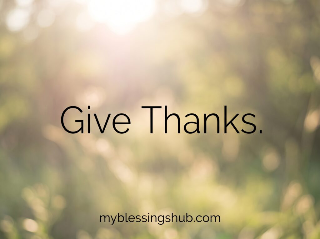 daily gratitude quotes